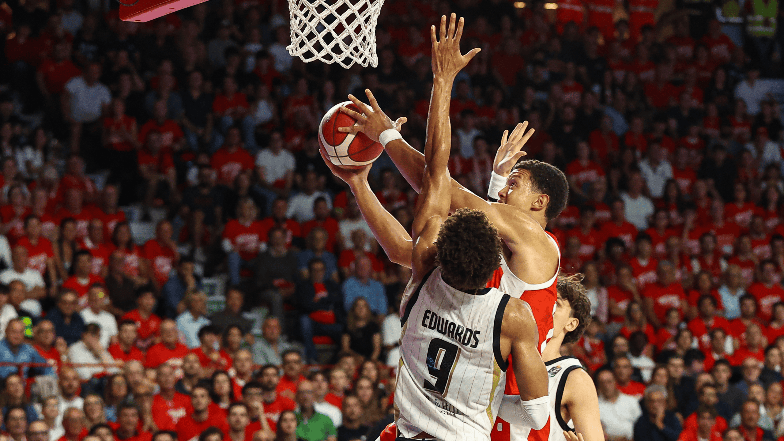 Gallery_VareseVirtus_10